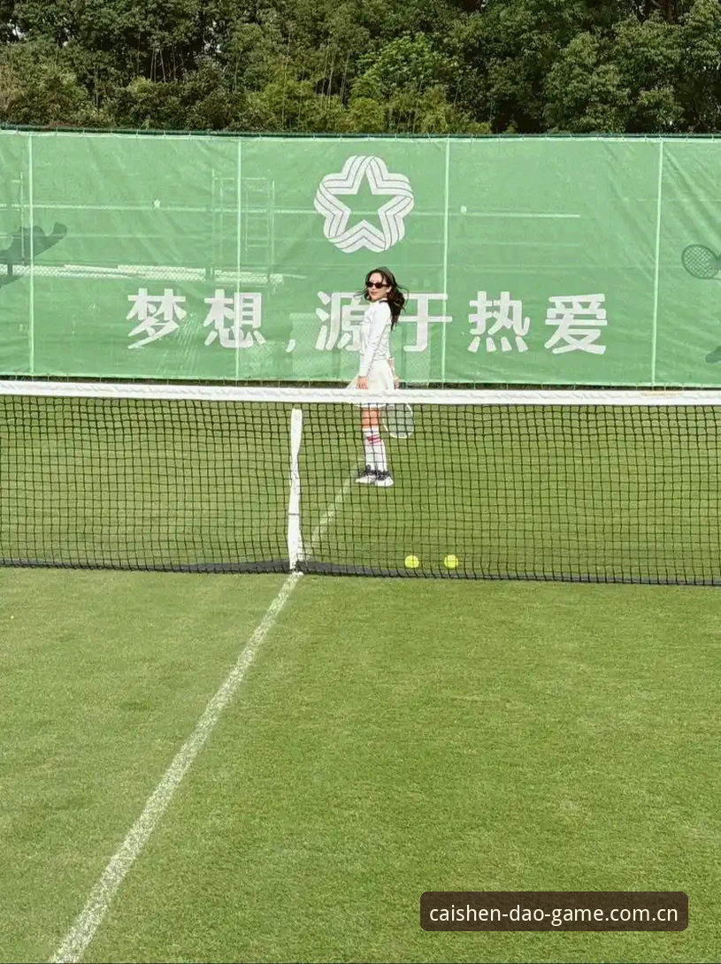 从迪亚洛草地突围看网球数据解读完整指南